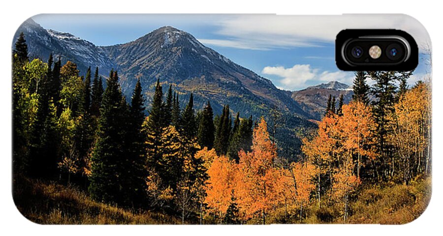 Autumn iPhone X Case featuring the photograph Rocky Mountain Fall #7 by Mark Smith