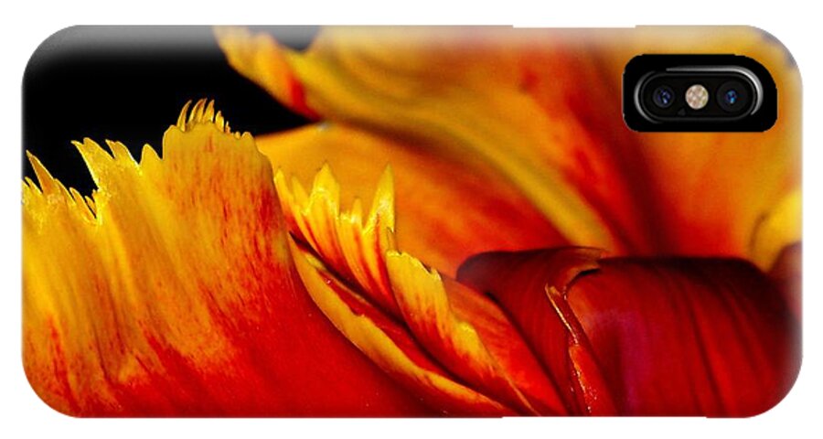 Tulip iPhone X Case featuring the photograph Tulip #7 by Sylvie Leandre