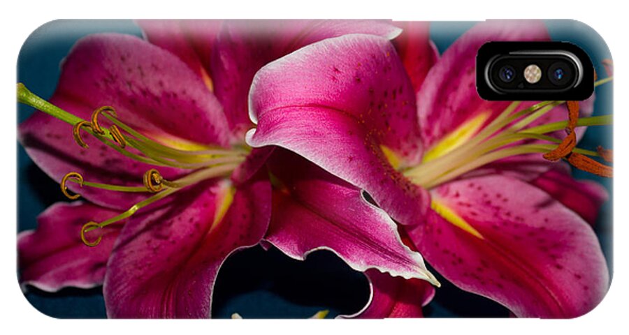 Lily iPhone X Case featuring the photograph A Bunch of Beauty Floral by Roberta Byram