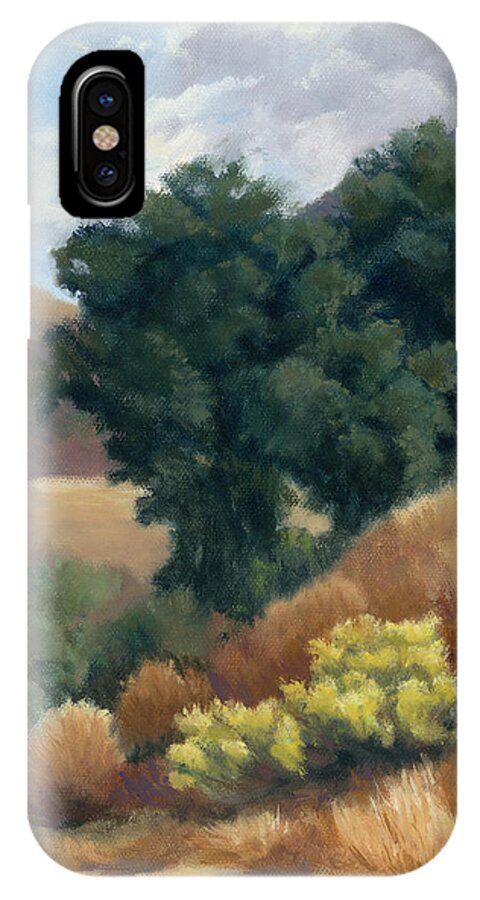 Whitney Canyon iPhone X Case featuring the painting A Fall Day at Whitney Canyon by Sandy Fisher