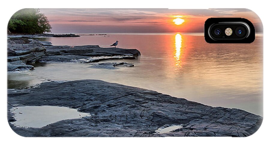 Flat Rock iPhone X Case featuring the photograph A Flat Rock Sunset with Seagull by Rod Best