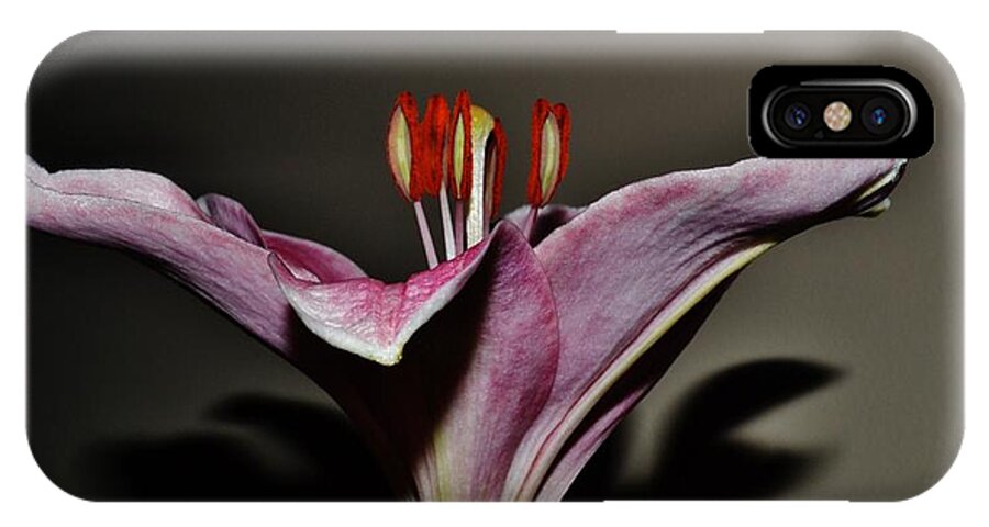 Flowers iPhone X Case featuring the photograph A Lily by Eileen Brymer