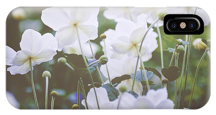 Photography; Ivy Ho; Angsanaseeds; Photograph; Flowers; Floral; Flora; Royal Garden; White Anemones iPhone X Case featuring the photograph A New Day by Ivy Ho