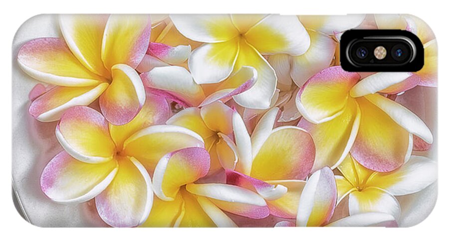 Floral iPhone X Case featuring the photograph A Plate of Plumerias by Jade Moon