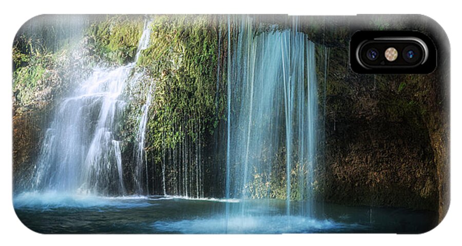 Tree iPhone X Case featuring the photograph A Resting Place at Natural Falls by Tamyra Ayles