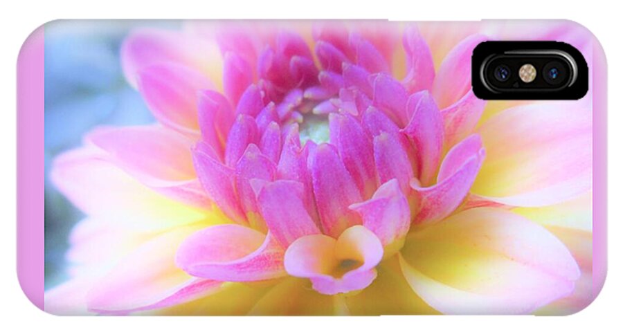 Dahlia iPhone X Case featuring the photograph A Symphony of Light by Sharon Ackley