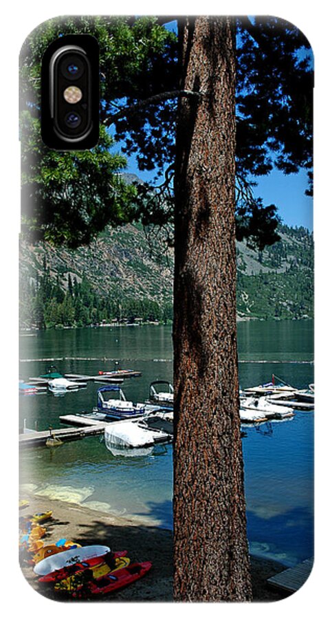 Usa iPhone X Case featuring the photograph A Trees View of Fallen Leaf Lake by LeeAnn McLaneGoetz McLaneGoetzStudioLLCcom