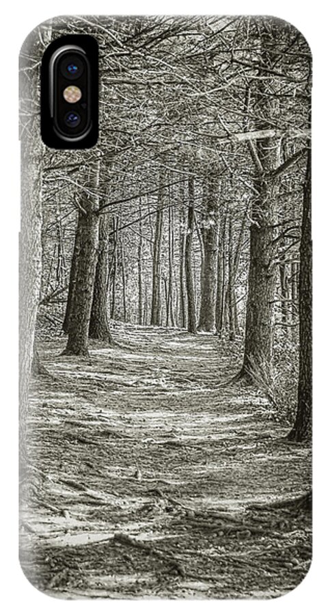 Walden iPhone X Case featuring the photograph A Walk in Walden Woods by Ike Krieger
