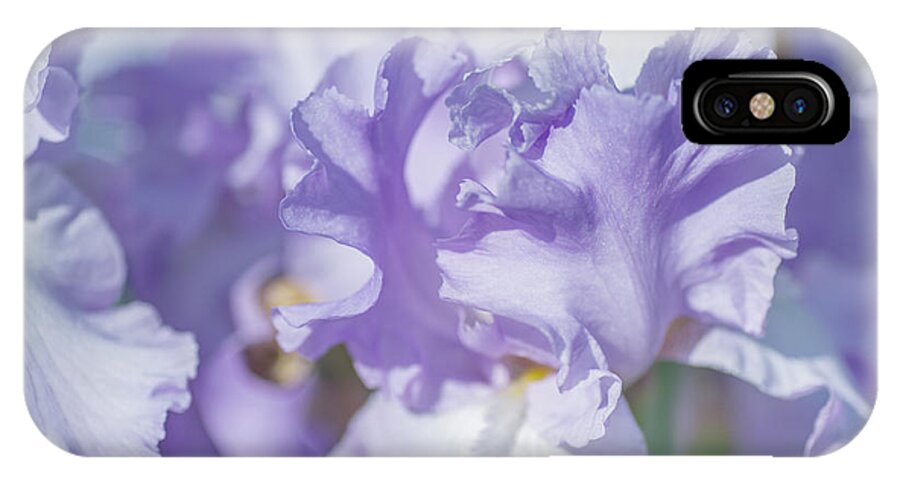 Jenny Rainbow Fine Art Photography iPhone X Case featuring the photograph Absolute Treasure CloseUp. The Beauty of Irises by Jenny Rainbow