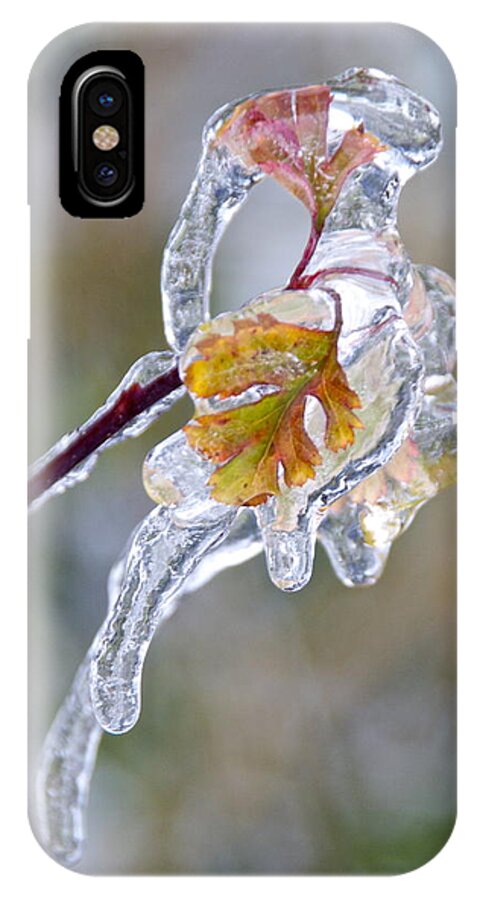 Photography iPhone X Case featuring the photograph After the Ice Storm by Sean Griffin