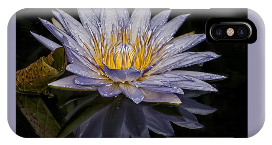 Water Lily iPhone X Case featuring the photograph After the Rain by Roman Kurywczak
