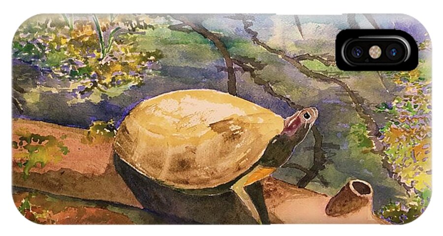 Turtle Art iPhone X Case featuring the painting Afternoon At Jarrett Nature Center by Marita McVeigh