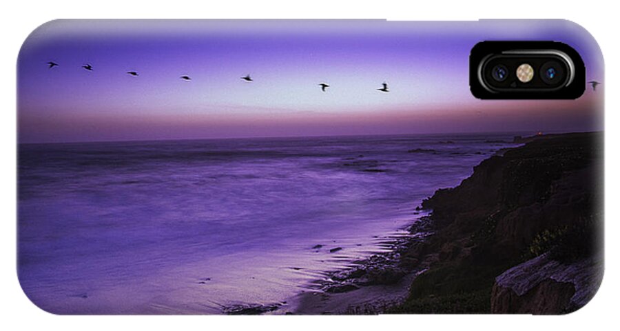 Birds iPhone X Case featuring the photograph Against the Wind by Janet Kopper