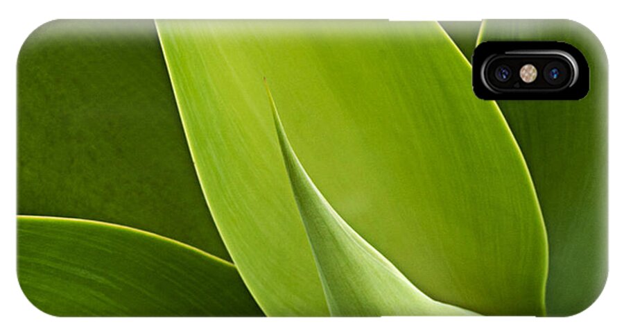 Green iPhone X Case featuring the photograph Agave by Heiko Koehrer-Wagner