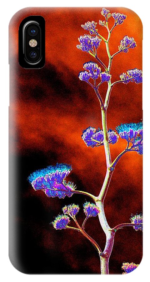Agave iPhone X Case featuring the photograph Agave Through Tequila Eyes by Richard Henne