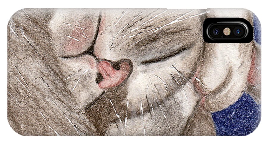 Cat iPhone X Case featuring the drawing All Curled Up by Terry Taylor