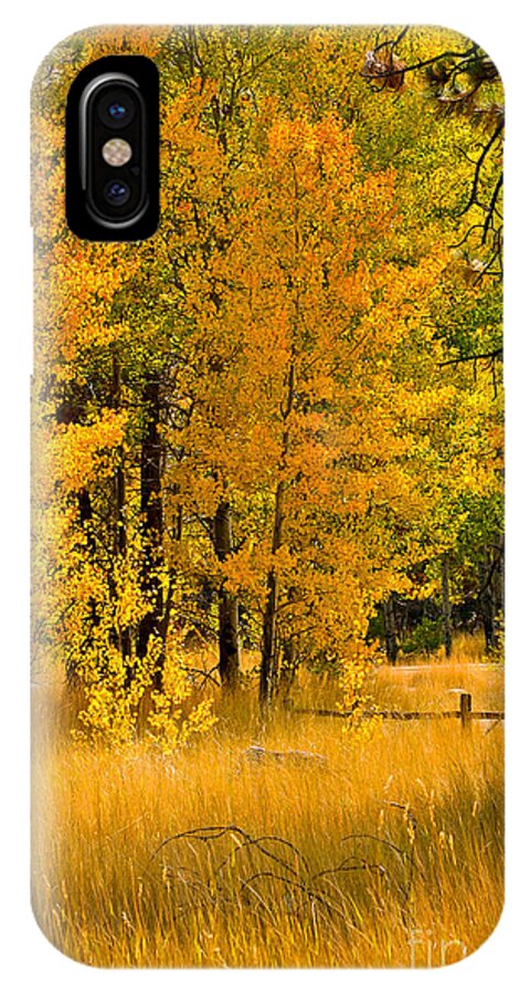 Fall iPhone X Case featuring the photograph All The Soft Places To Fall by Mitch Shindelbower