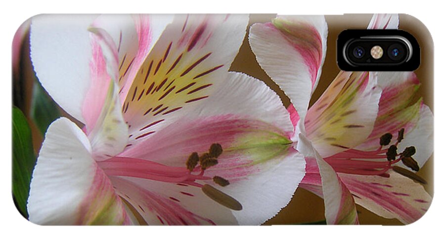 Nature iPhone X Case featuring the photograph Alstroemerias - Listening by Lucyna A M Green