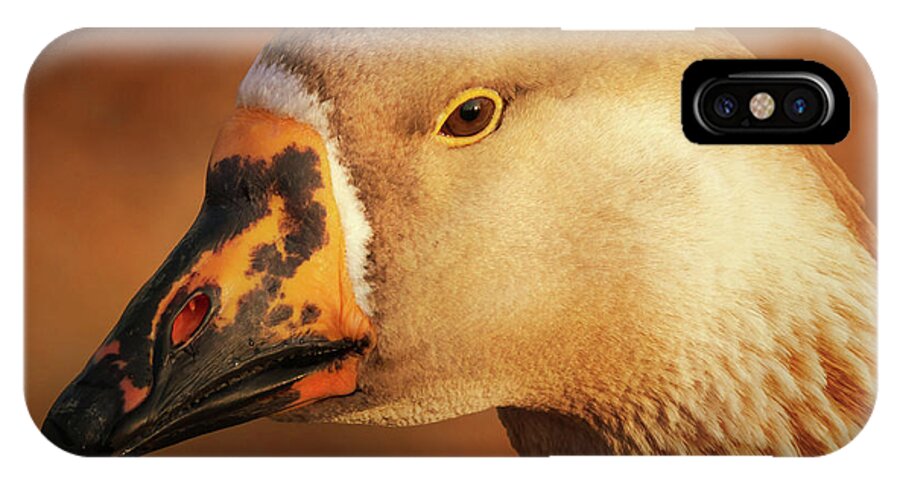 Greylag iPhone X Case featuring the photograph Am I Still Beautiful by Wim Lanclus