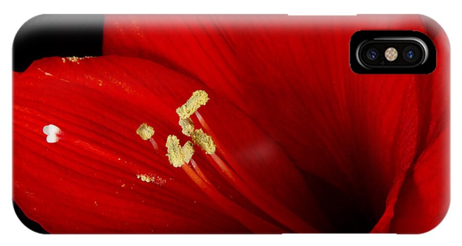 Amaryllis iPhone X Case featuring the photograph Amaryllis Pollen by James BO Insogna