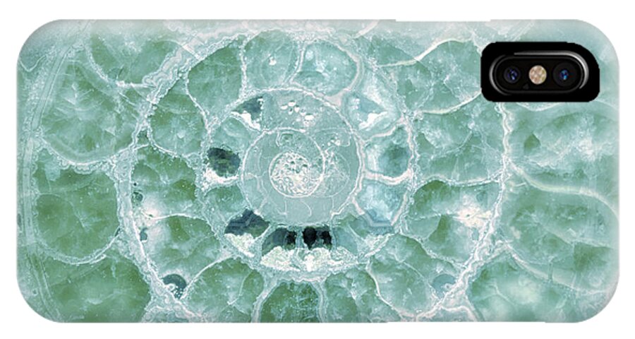 Ammonite iPhone X Case featuring the photograph Ammonite Emerald Green by Gigi Ebert