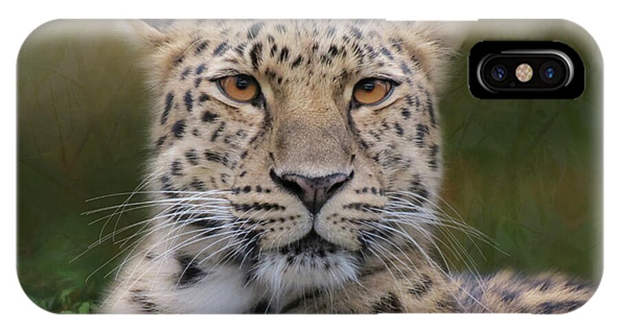 Leopard iPhone X Case featuring the photograph Amur Leopard by Patti Deters