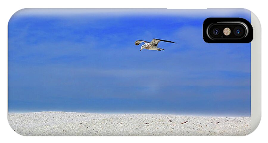 Seagull iPhone X Case featuring the photograph Ancient Mariner by Marie Hicks