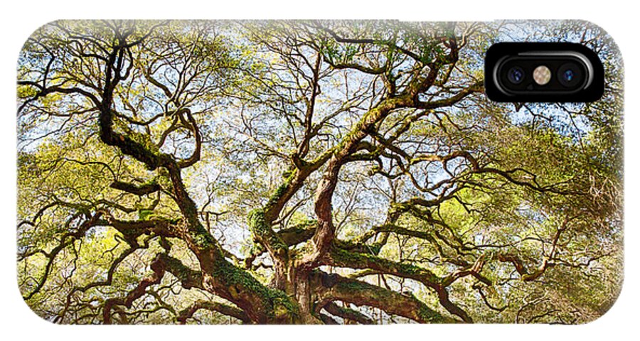 Tree iPhone X Case featuring the photograph Angel Oak in Spring by Patricia Schaefer