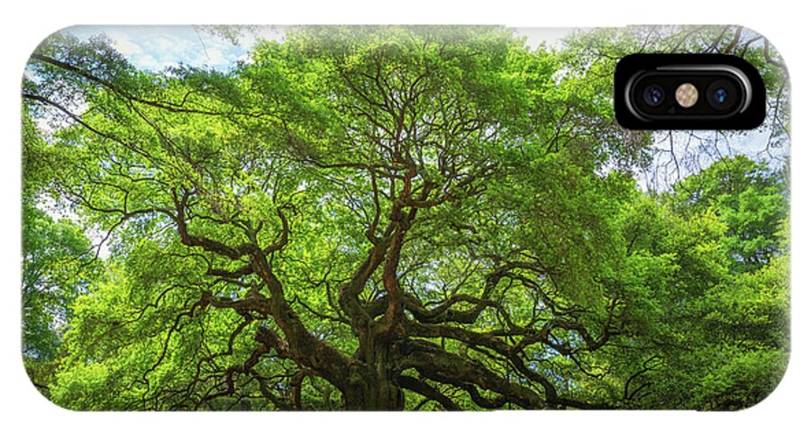 Angel Oak Tree iPhone X Case featuring the photograph Angel Oak Tree in South Carolina by Michael Ver Sprill