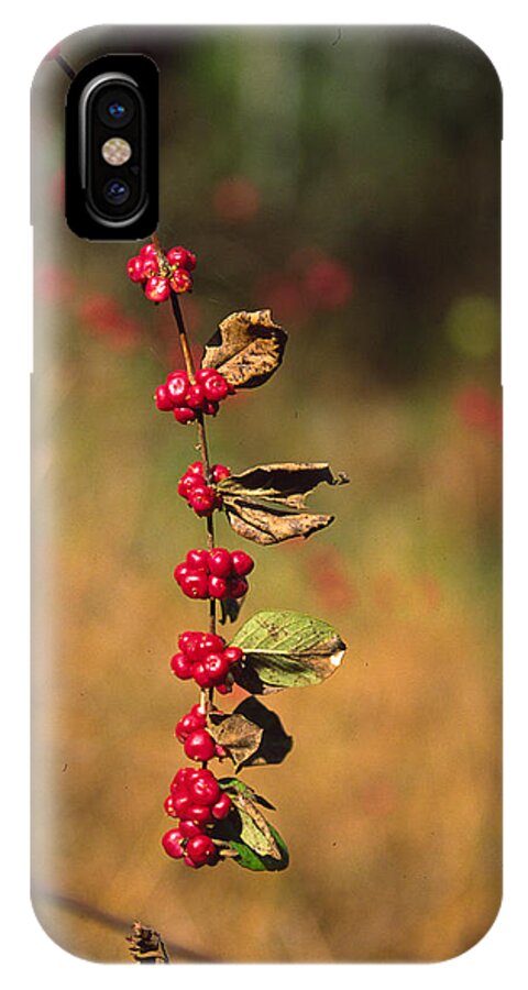 Fall Colors iPhone X Case featuring the photograph Another Year by Randy Oberg