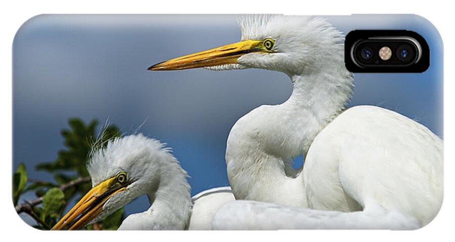 Egret iPhone X Case featuring the photograph Anxiously Waiting by Christopher Holmes