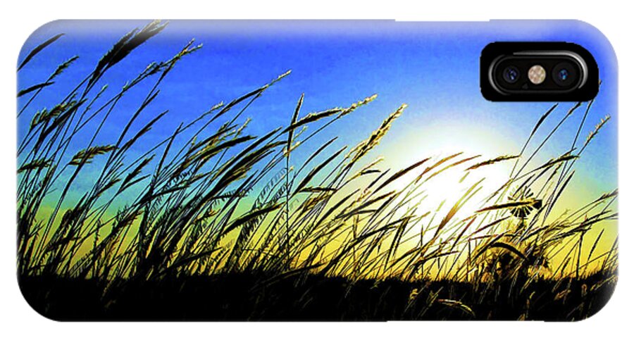 Bill Kesler Photography iPhone X Case featuring the photograph Tall Grass by Bill Kesler