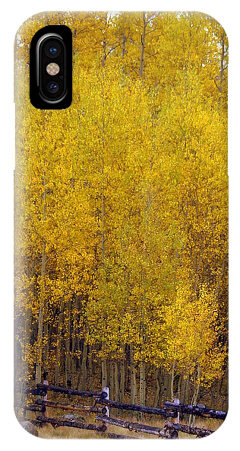 Fall Colors iPhone X Case featuring the photograph Aspen Fall 2 by Marty Koch
