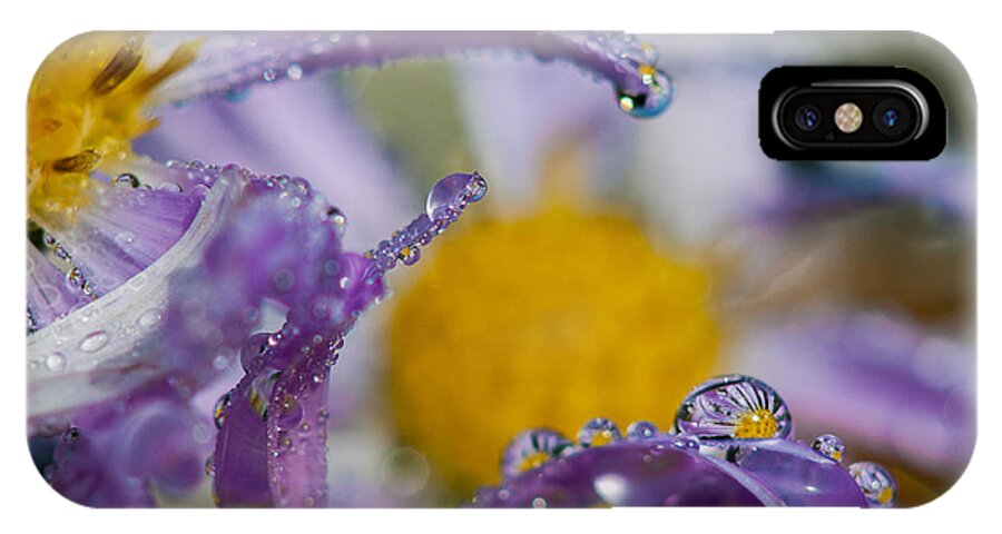 Dew iPhone X Case featuring the photograph Aster and Dew by Robert Potts