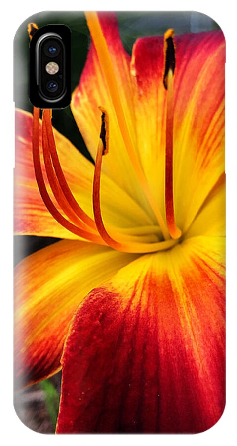 Art iPhone X Case featuring the photograph Athenagoras of Syracuse by Jeff Iverson