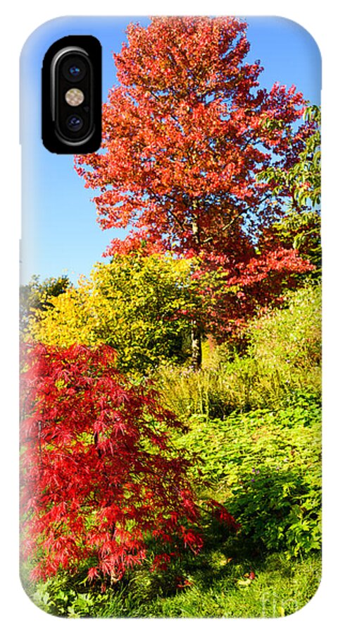 Autumn iPhone X Case featuring the photograph Autumn colours by Colin Rayner