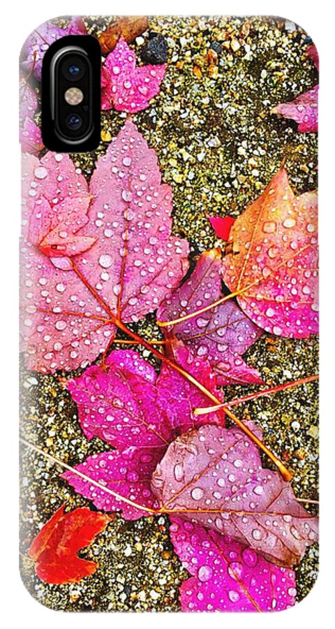 Dew iPhone X Case featuring the photograph Autumn Dew by Brad Hodges