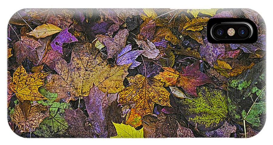 Autumn iPhone X Case featuring the photograph Autumn Leaves at Side of Road by John Hansen