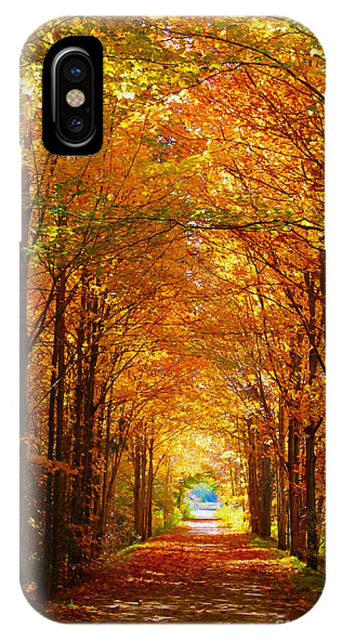 Autumn iPhone X Case featuring the photograph Autumn Light and Leaf Painting by Nina Silver
