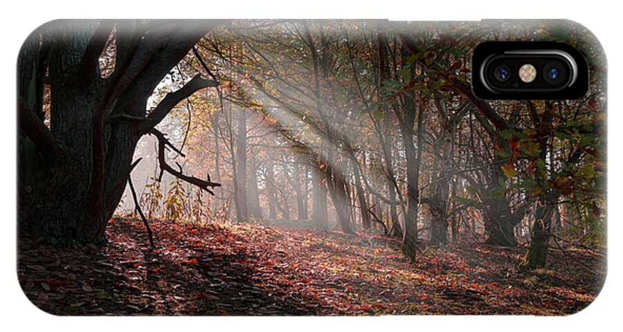 Autumn iPhone X Case featuring the photograph Autumn Light by Scott Carruthers