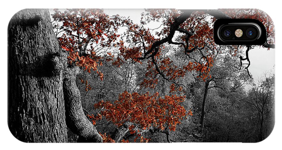 Color Desaturation iPhone X Case featuring the photograph Autumn Oak by Dylan Punke