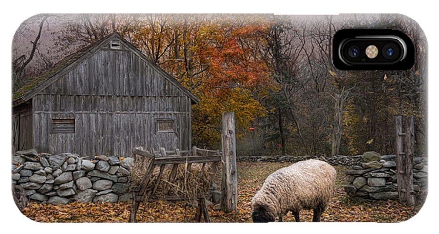 Sheep iPhone X Case featuring the photograph Autumn Sweater by Robin-Lee Vieira