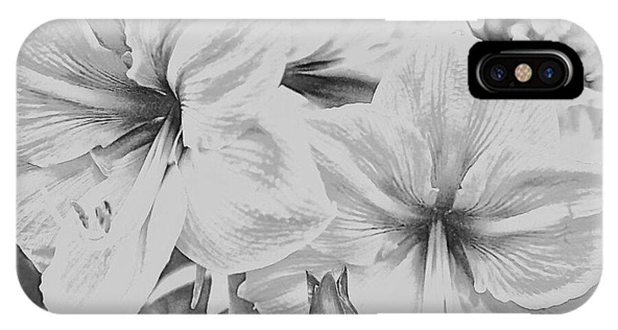 Amaryllis iPhone X Case featuring the photograph B W Petals by Kasha Baxter