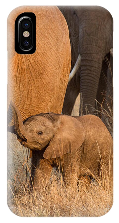 African Elephant iPhone X Case featuring the photograph Baby Elephant 2 by Chris Scroggins