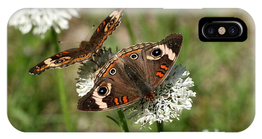 Nature iPhone X Case featuring the photograph Back to Back Butterflies by Sheila Brown