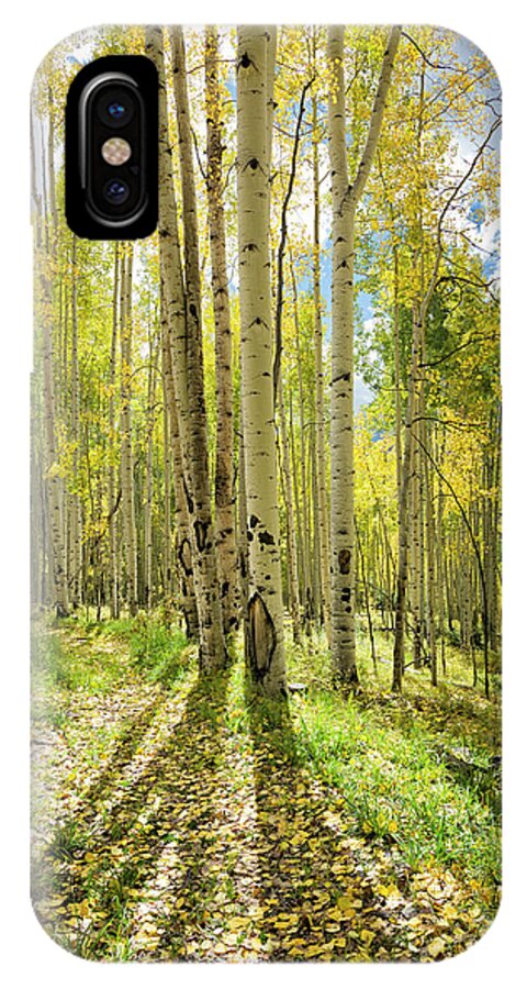 Aspen iPhone X Case featuring the photograph Backlit Aspen Trail by Denise Bush