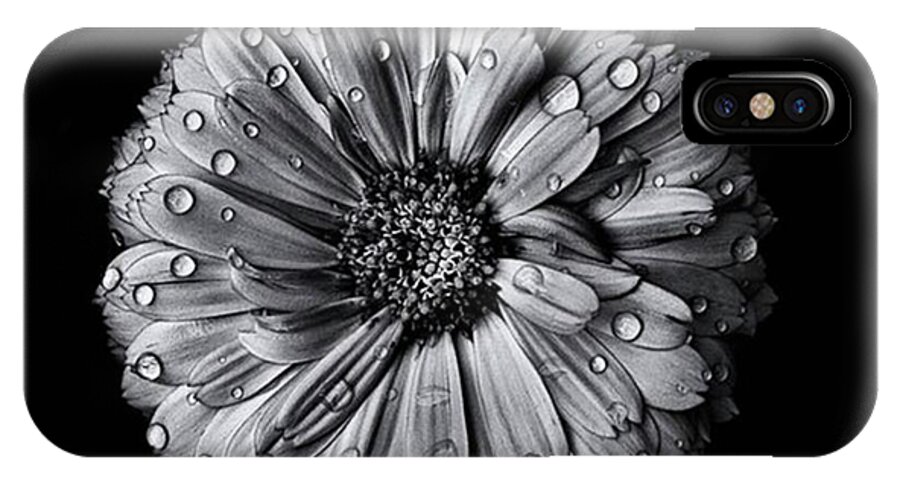 Monochrome iPhone X Case featuring the photograph Backyard Flowers After The Storm by Brian Carson