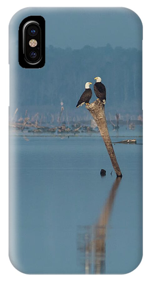 Bald Eagle iPhone X Case featuring the photograph Bald Eagle Pair by Paul Rebmann