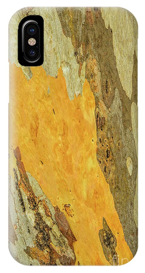 Tree iPhone X Case featuring the photograph Bark A10 by Werner Padarin