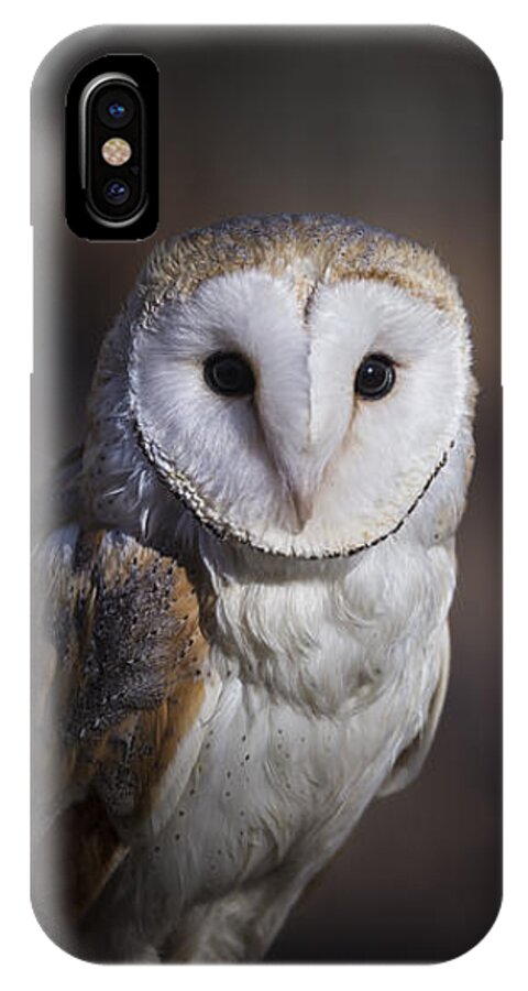 Owl iPhone X Case featuring the photograph Barn Owl by Andrea Silies